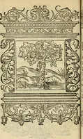 An illustration from Le theatre des bons engins : auquel sont contenuz cent emblemes moraulx (1545)