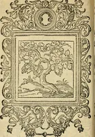 An illustration from Le theatre des bons engins : auquel sont contenuz cent emblemes moraulx (1545)