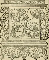An illustration from Le theatre des bons engins : auquel sont contenuz cent emblemes moraulx (1545)