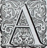 Picture 174 of 231 from Le theatre du monde, ou, Nouuel atlas [cartographic material] (1650), leaf 302