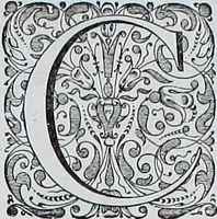 Picture 193 of 231 from Le theatre du monde, ou, Nouuel atlas [cartographic material] (1650), leaf 354