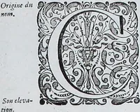 Picture 208 of 231 from Le theatre du monde, ou, Nouuel atlas [cartographic material] (1650), leaf 384