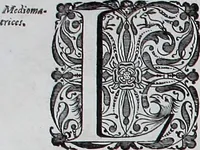 Picture 49 of 231 from Le theatre du monde, ou, Nouuel atlas [cartographic material] (1650), leaf 85