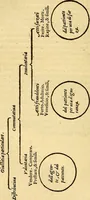 An illustration from L'Ethica d' Aristotile (1550)