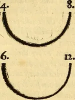 An illustration from L'Ethica d' Aristotile (1550)