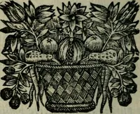 Picture 2 of 18 from Le théâtre de P. Corneille (1668), leaf 29