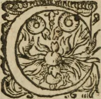 An illustration from Le Triomphe d'Amour et de Mars : représenté en la personne d'Angélique et de deux princes infortunés (1632)