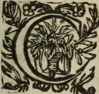 An illustration from Le Triomphe d'Amour et de Mars : représenté en la personne d'Angélique et de deux princes infortunés (1632)