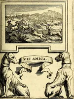 Picture 18 of 25 from Le triomphe de la religion sous Louis le Grand : représenté par des inscriptions & des devises : avec une explication en vers latins & françois (1687), leaf 100