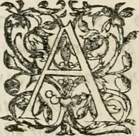 An illustration from Le triomphe de la France sur l'entrée royale de Leurs Maiestez dans leur bonne ville de Paris : avec les discours heroïques sur les vies des roys de France, depuis Pharamond jusqu'à nostre Grand Monarque Louis XIV : ensemble les eloges de la reyne, de la reyne mere, &de Son Eminence : dedié à Messieurs les prevost des marchands, & eschevins de la ville (1660)