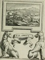 Picture 19 of 26 from Le triomphe de la religion sous Louis le Grand : représenté par des inscriptions & des devises : avec une explication en vers latins & françois (1687), leaf 102