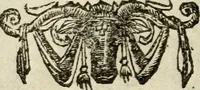 An illustration from Le triomphe royal : où l'on voit dêscrits les arcs de triomphe, piramydes, tablaux, & devises au nombre de 65, erigez à la Haye, à l'honneur de Guillaume III, roy d'Angleterre, Ecosse, France, & Irlande (1691)