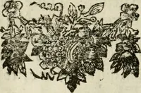 An illustration from Le triomphe royal : où l'on voit dêscrits les arcs de triomphe, piramydes, tablaux, & devises au nombre de 65, erigez à la Haye, à l'honneur de Guillaume III, roy d'Angleterre, Ecosse, France, & Irlande (1691)