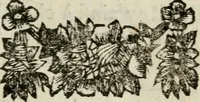 An illustration from Le triomphe royal : où l'on voit dêscrits les arcs de triomphe, piramydes, tablaux, & devises au nombre de 65, erigez à la Haye, à l'honneur de Guillaume III, roy d'Angleterre, Ecosse, France, & Irlande (1691)