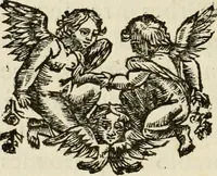 An illustration from Le triomphe royal : où l'on voit dêscrits les arcs de triomphe, piramydes, tablaux, & devises au nombre de 65, erigez à la Haye, à l'honneur de Guillaume III, roy d'Angleterre, Ecosse, France, & Irlande (1691)