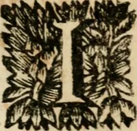 An illustration from Le triomphe royal : où l'on voit dêscrits les arcs de triomphe, piramydes, tablaux, & devises au nombre de 65, erigez à la Haye, à l'honneur de Guillaume III, roy d'Angleterre, Ecosse, France, & Irlande (1691)