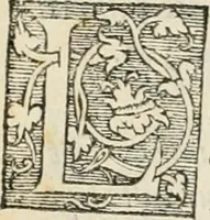 An illustration from Le triumphe d'Anuers faict en la susception du Prince Philips, Prince d'Espaigñ (1550)