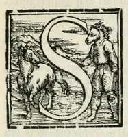 An illustration from Lettera all'illvst.mo et eccell.mo signor don Pietro Medici, di Valerio Ruggieri : sopra la festa fatta dal duca di Carroccio, nella festiuità di San Giouambatista in Firenze (1588)