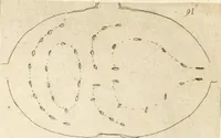 An illustration from Lettera al sig. Alberico Cibo, principe di Massa, sopra il giuoco fatto dal gran dvca intitolato Gverra d'amore il di 12. di Febraio 1615 in Firenze (1616)