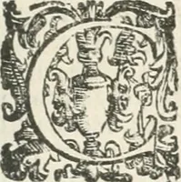 An illustration from Lettera al sig. Alberico Cibo, principe di Massa, sopra il giuoco fatto dal gran dvca intitolato Gverra d'amore il di 12. di Febraio 1615 in Firenze (1616)
