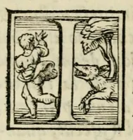 An illustration from Lettera dell'illvstre s. Costanzo Landi, conte di Compiano, sopra vna impresa d'vn pino : con i motti postovi, & con la dechiaratione di tutta la natura del pino (1560)