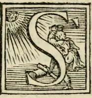 An illustration from Lettera dell'illvstre s. Costanzo Landi, conte di Compiano, sopra vna impresa d'vn pino : con i motti postovi, & con la dechiaratione di tutta la natura del pino (1560)