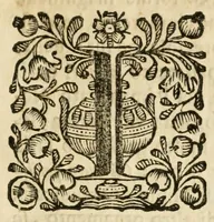 An illustration from Lettera istorica contenente il prodigio operato in Forlì da Maria Vergine : sotto la miracolosa imagine della Madonna del Fuoco, liberando la città da' tremuoti, che con grande orror l' affliggeuano : e delle solennità in occasione di esporre alla publica venerazione del popolo la detta santa imagine : scritta all' illustrissimo reuerendissimo monsig. Fabrizio Paulucci, patrizio forliuese e degnissimo vescouo di Macerata e Tolentino (1688)