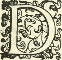 An illustration from Lettera nella qvale si descrive l'ingresso nel Palazzo Dvcale della serenissima Morosina Morosini Grimani, prencipessa di Vinetia : co' la cerimonia della Rosa benedetta, mandatale à donare dalla Santità di Nostro Signore (1597)