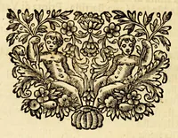 Picture 19 of 20 from Lettere della Santa Madre Teresa di Giesu fondatrice delle monache, e padri Carmelitani Scalzi (1690), leaf 624