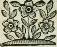 An illustration from Lettere, dettate dal Card. Sforza Pallavicino. Raccolte ... da Giambattista Galli Pauarelli (1678)