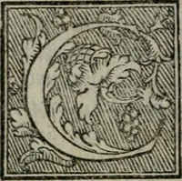 Picture 10 of 18 from Lettere devotissime della beata vergine santa Caterina da Siena : nuovamente con tutta la diligentia che si ha potuto ristampate (1562), leaf 193