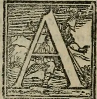 Picture 12 of 18 from Lettere devotissime della beata vergine santa Caterina da Siena : nuovamente con tutta la diligentia che si ha potuto ristampate (1562), leaf 309