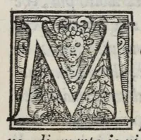 An illustration from Lettere di diversi eccellentiss. hvomini : raccolte da diversi libri : tra le qvali se ne leggono molte, non piv stampate : con gli argomenti per ciascvna delle materie, di che elle trattano : e nel fine annotationi e tauole delle cose piu notabili a utile de gli studiosi (1554)