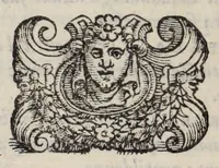Picture 17 of 19 from Lettere di diversi eccellentiss. hvomini : raccolte da diversi libri : tra le qvali se ne leggono molte, non piv stampate : con gli argomenti per ciascvna delle materie, di che elle trattano : e nel fine annotationi e tauole delle cose piu notabili a utile de gli studiosi (1554), leaf 558