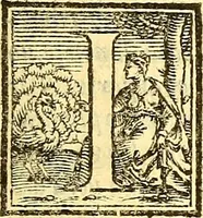 Picture 4 of 5 from Lettere di principi : le quali o' si scrivono da principi, ò à principi, o'ragionan di principi ... (1564), leaf 26