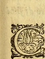 An illustration from Lettere di principi : le quali o' si scrivono da principi, ò à principi, o'ragionan di principi ... (1564)