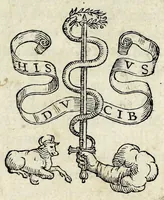 An illustration from Lettere di XIII. hvomini illvstri, nelle qvali sono dve libri di diversi altri avttori, et il fiore di qvante belle lettere, che fin'hora si sono vedute; con molte del Bembo, del Navagero, del Fracastoro, del Manutio, & di altri famosi auttori non piu date in luce (1560)