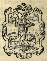 Picture 11 of 11 from Lettere facete, e chiribizzose in lengua antiga, venitiana, et vna à la gratiana, con alguni sonetti, é canzoni piaseuoli venitiani, é toscani enel fin trenta villanelle a diuersi signori é do[n]ne lucchesi et altri (1588), leaf 204