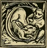 Picture 147 of 181 from Lettering in ornament; an enquiry into the decorative use of lettering, past, present, and possible (1902), leaf 218