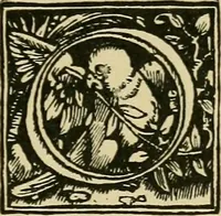 Picture 148 of 181 from Lettering in ornament; an enquiry into the decorative use of lettering, past, present, and possible (1902), leaf 218