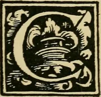Picture 149 of 181 from Lettering in ornament; an enquiry into the decorative use of lettering, past, present, and possible (1902), leaf 218