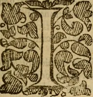 An illustration from A letter of many ministers in old England, requesting the judgement of their brethren in New England concerning nine positions ; written Anno Dom. 1637 : together with their answer thereunto returned, Anno 1639 ; and the reply made unto the said answer, and sent over unto them, Anno 1640 (1643)