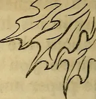 An illustration from Letters to a candid inquirer, on animal magnetism (1851)