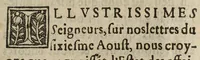 An illustration from Lettre dv Roy de Navarre avx illvstrissimes seignevrs de la Republique de Berne. Leuë publiquement en l’eglise cathedrale de Troyes, le XX. du moys de Septembre, à fin que chacun cogneut clairement le but du Biernoys. (1589)
