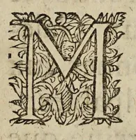 An illustration from Lettre envoyee a la royne mere du roy, contenant ce qui s'est passé en la prise de Priuas. Et la reduction de cinq ou six autres places rebelles. (1629)