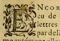 An illustration from Lettres du Iappon, Peru et Brasil (1578)