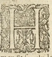 An illustration from Lettres patentes dv Roy povr la continvation des Grandz Iours en la ville de Poictiers iusques à la vueille de Noel, 1579. (1579)