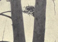 An illustration from Let us go afield (1916)