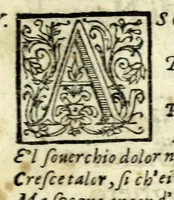 Picture 4 of 4 from L'Evandro : tragedia (1613), leaf 9
