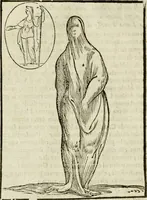 An illustration from Le vere e nove imagini de gli dei delli antichi di Vicenzo Cartari Reggiano. Ridotte da capo a piedi in questa nouissima impressione alle loro reali, & non piu per l'adietro osseruate simiglianze. Cauate da' marmi, bronzi, medaglie, gioie, & altre memorie antiche; (1615)